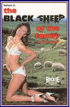 Black Sheep Of The Family